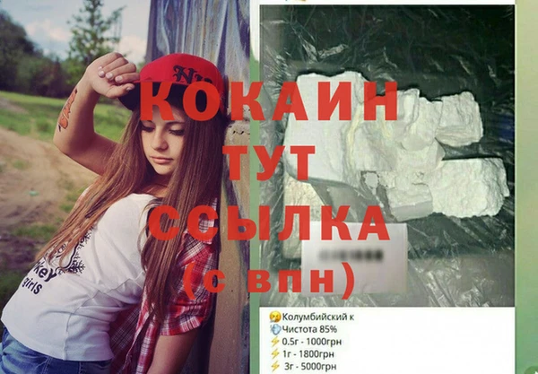 крисы Заводоуковск